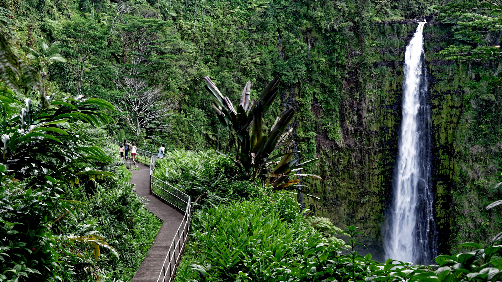 Hawaii